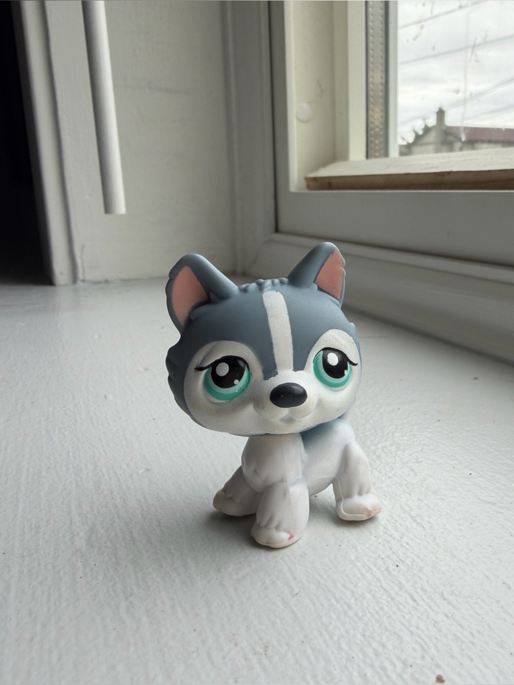 LPS husky no #